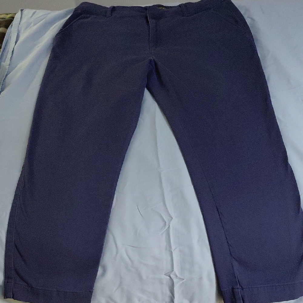 Banana Republic Women's Dark Blue Chinos 14